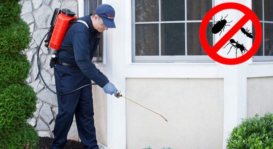 Dalaman Gümüşkurt İlaçlama böcek ilaçlama ve haşere kontrolü — ilaclama-tr.com